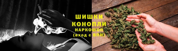 индика Нефтекумск
