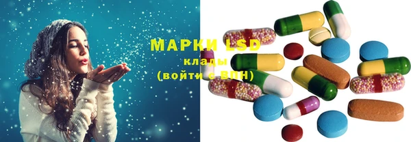 индика Нефтекумск