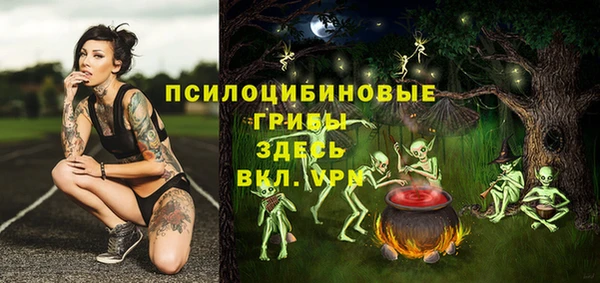 индика Нефтекумск