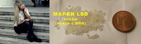 индика Нефтекумск