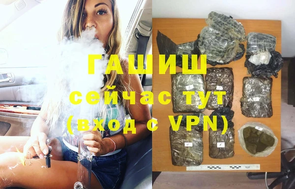 индика Нефтекумск