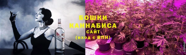 индика Нефтекумск