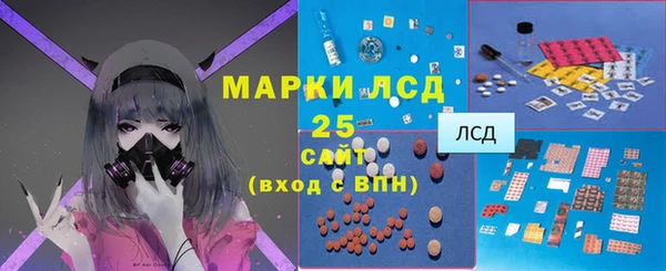 индика Нефтекумск