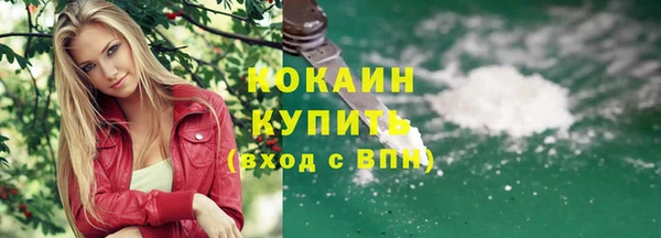 индика Нефтекумск