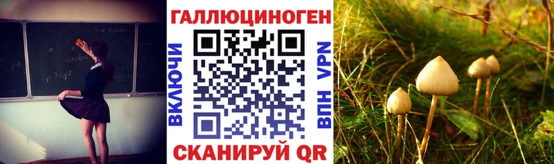 Галлюциногенные грибы ЛСД Адыгейск