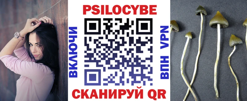 Псилоцибиновые грибы GOLDEN TEACHER  магазин продажи наркотиков  блэк спрут ССЫЛКА  Адыгейск 